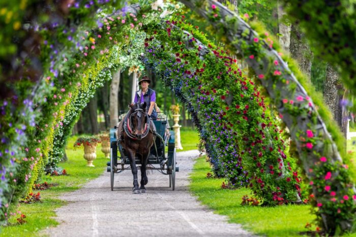 LÄTI ja LEEDU SUURSUGUSED LOSSID ja Pakruojo Dvarase mõisa lillefestival - Image 2