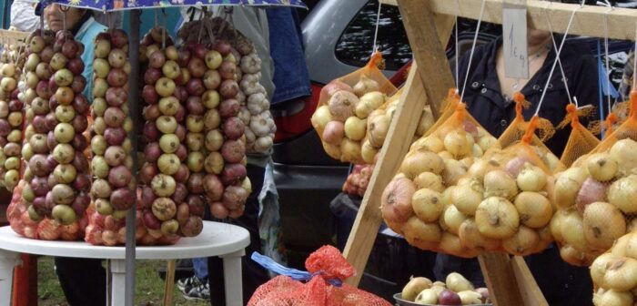 LÜÜBNITSA LAAT ja Setomaa, sibula- ja küüslauguostu reis.