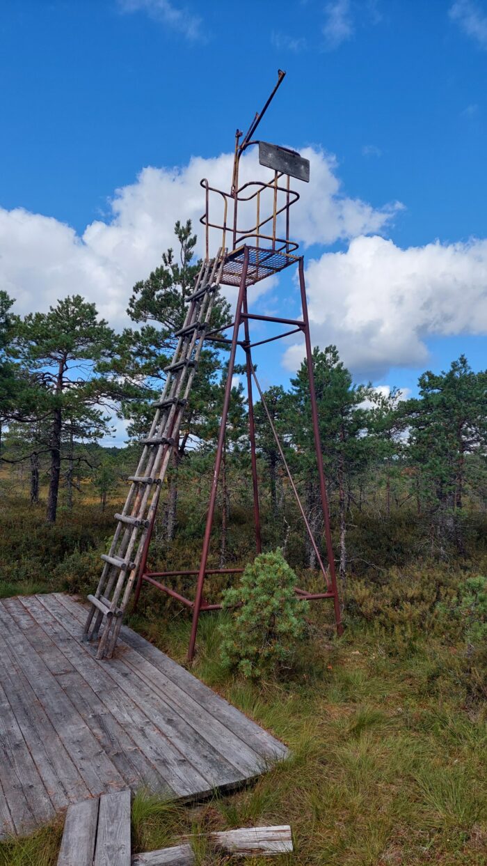 Ühepäevane sügisene matk Kodru rabas – Avastame sügisvärvides raba ilu! - Image 2