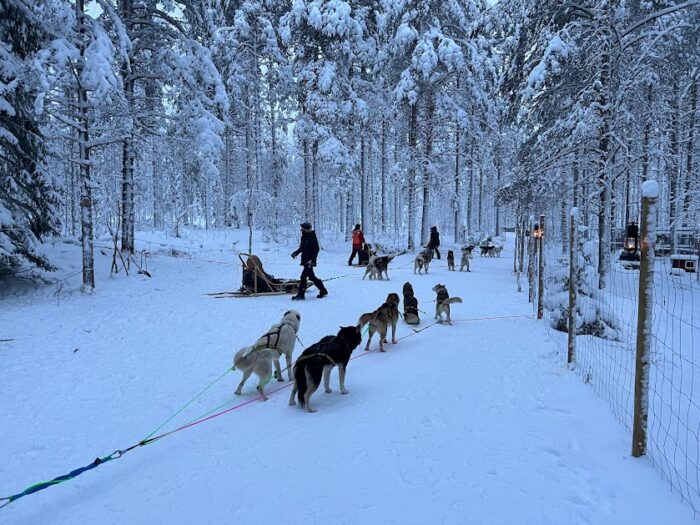 Lapimaale Jõuluvanale külla - Image 3