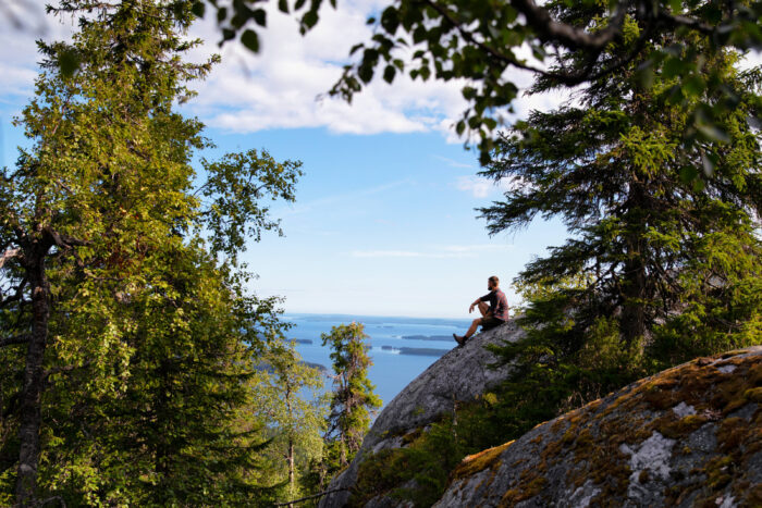 SOOME KARJALA - Image 10