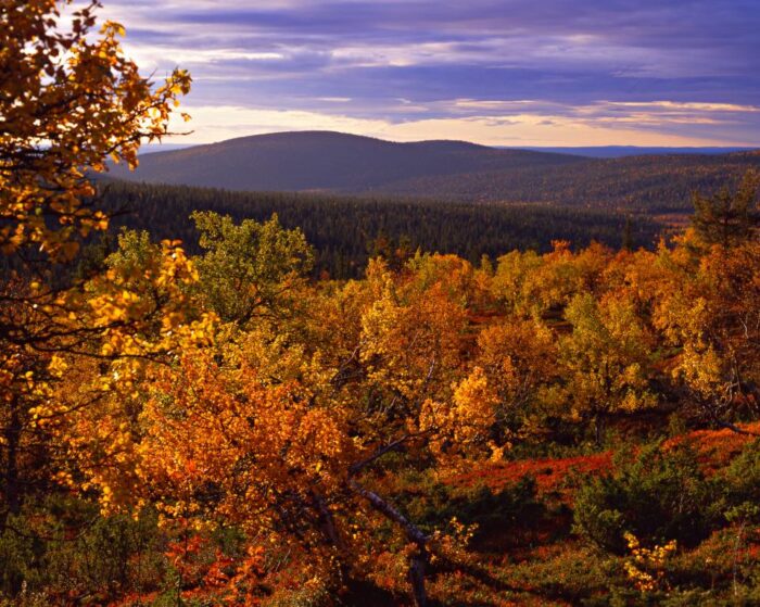SÜGISVÄRVIDES LAPIMAA - Image 2